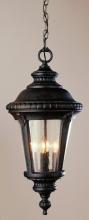 Trans Globe 5049 RT - 1LT SMALL HANGING OUTDOOR-(247